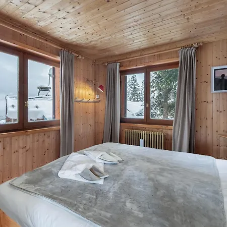 Mazot Confortable Dans Les Sapins, Skis Aux Pieds A - Fr-1-564-97 *