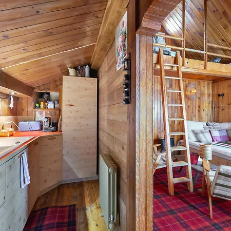 Mazot Confortable Dans Les Sapins, Skis Aux Pieds A - Fr-1-564-97 * Куршевель