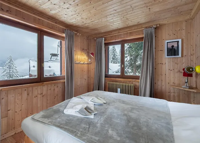 Mazot Confortable Dans Les Sapins, Skis Aux Pieds A - Fr-1-564-97 *