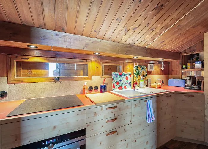 Mazot Confortable Dans Les Sapins, Skis Aux Pieds A - Fr-1-564-97 *